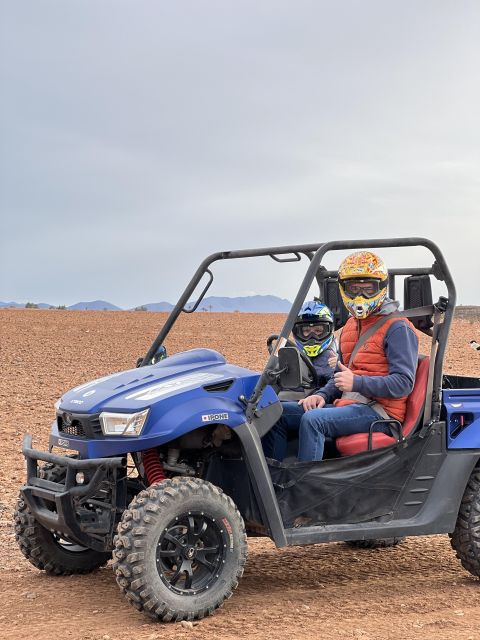 Half Day Buggy Palm Groves and Desert - Highlights of the Experience