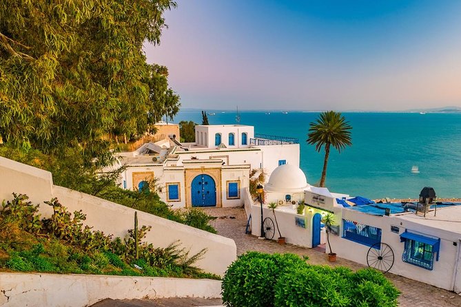 Half-Day Carthage, Sidi Bou Said Private Tour From Tunis or Hammamet - Customer Reviews