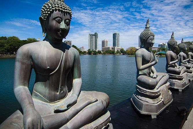 Half Day City Tour of Colombo - Customer Feedback and Reviews