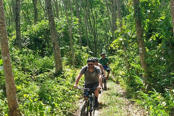 Half-Day Countryside Cycling Small-group Tour in Phuket - Booking and Logistics