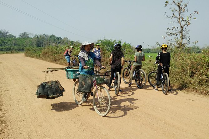 Half Day Cycling Tour to the White Temple - Itinerary Details