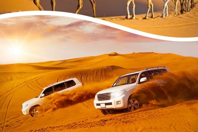 Half Day Desert Safari With Pickup From Doha Port/Airport /Hotels - Customer Reviews
