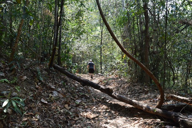 Half Day Doi Suthep Temple and Short Trekking on Monk Trail (Private Tour) - Itinerary Overview