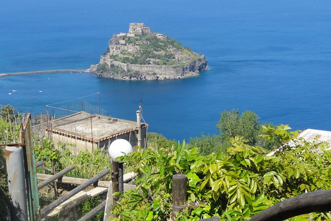 Half-Day East Coast Hike in Ischia Island With Pick-Up - Pick-Up Information and Logistics