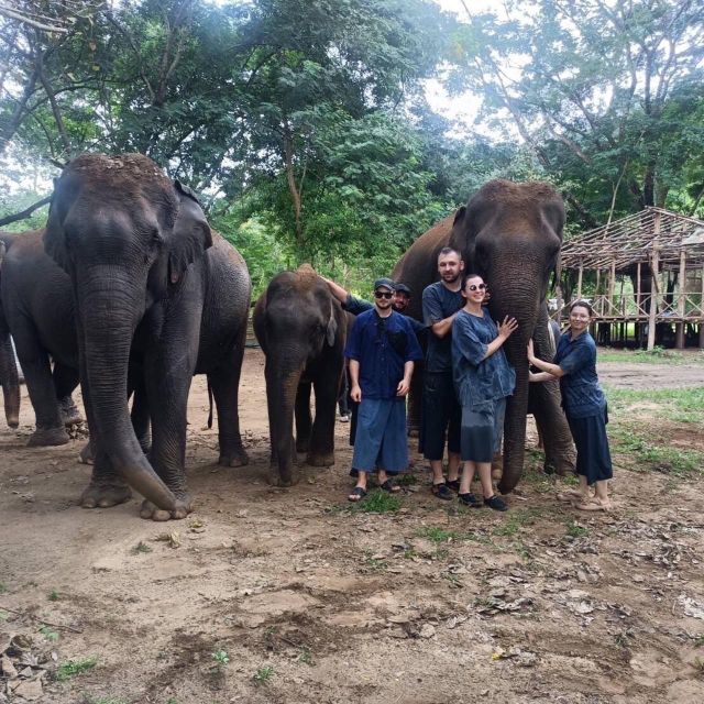 Half Day Elephant Care - Experience Highlights