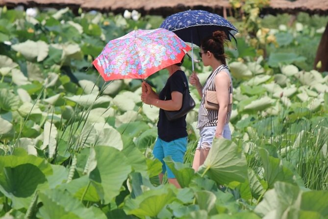 Half-Day Excursión Lotus Flowers and Local Foods From Busan - Local Food Tasting