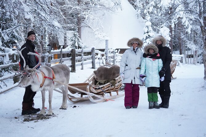 Half-Day Experience in Local Reindeer Farm in Lapland - Experience Overview