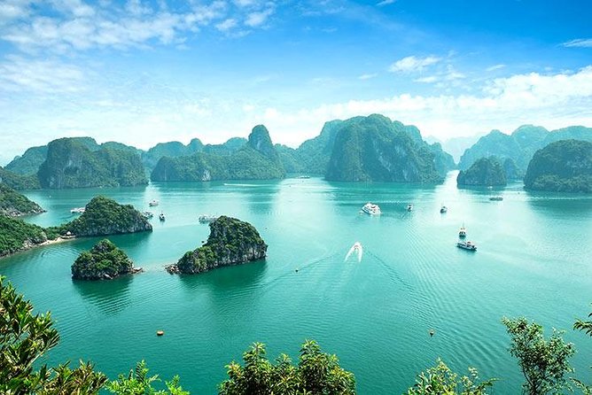 Half Day Explore Halong Bay With Lunch, Sung Sot Cave, Titop Island and Kayaking - Customer Reviews and Feedback Analysis