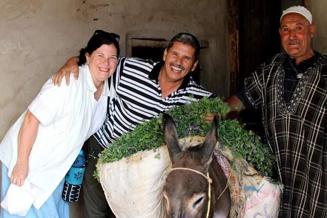 Half Day Fez Guided Cultural Tour at the Heart of Morocco - Cultural Experiences Included