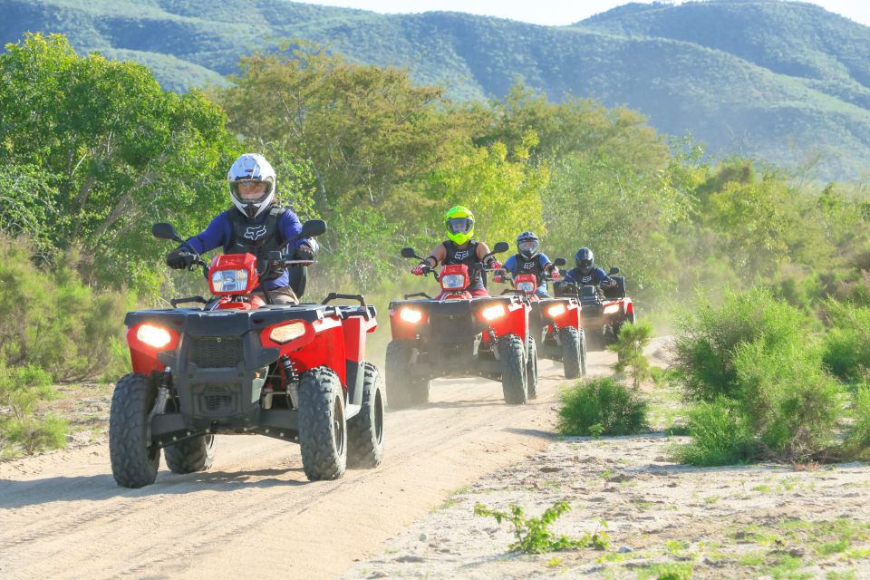 Half-Day Guided ATV Tour at Migriño Area - Experience Highlights