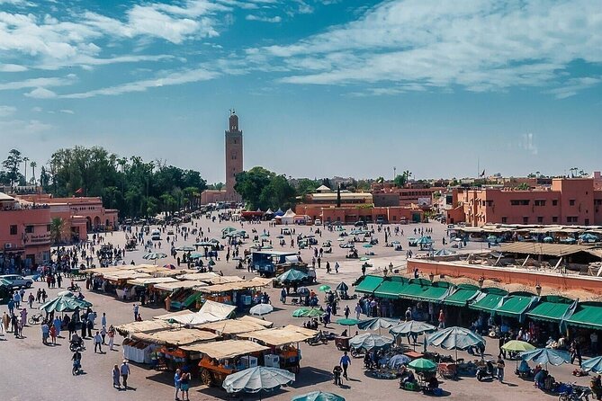 Half-Day Guided City Tour of Marrakech - Logistics and Meeting Points