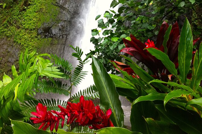 Half-Day Guided Hike to Afareaitu Waterfall - Cancellation Policy and Refunds