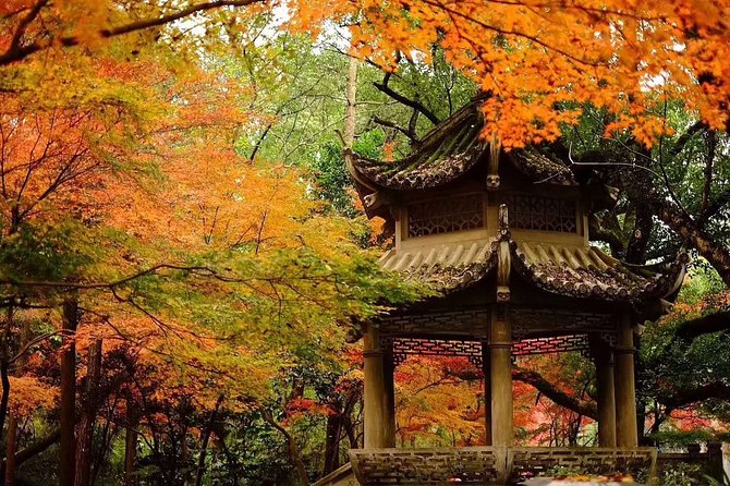 Half-Day Hangzhou Tianzhu Buddhist Mountain Hiking Tour With Green Tea Village - Transportation Details