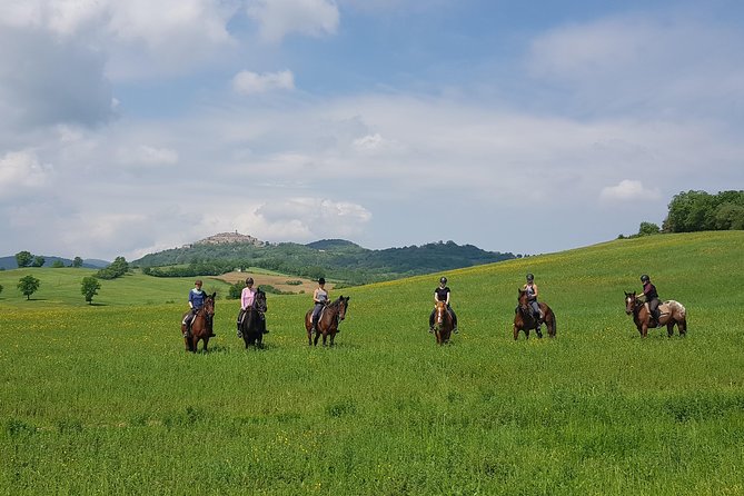 Half-Day Horseback Ride in Tuscany for Beginner Riders - Booking Details