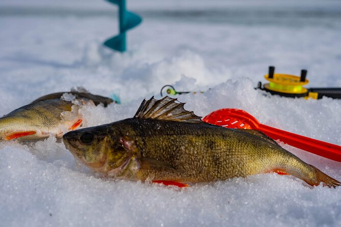 Half-Day Ice Fishing Safari With Igloo Lunch - Booking Information