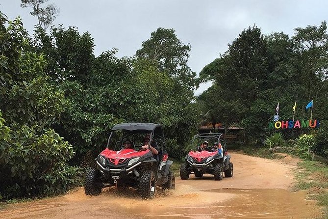 Half-Day Koh Samui Buggy Tour to Koh Samui Mountain - Tour Inclusions and Exclusions