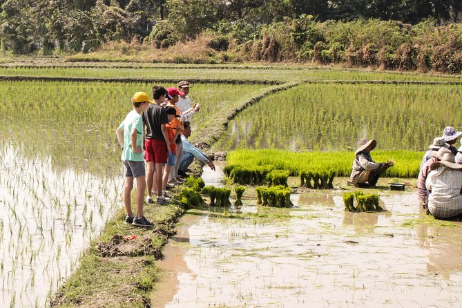 Half-Day Lanna Countryside Cycling Tour in Chiang Mai - Itinerary Highlights