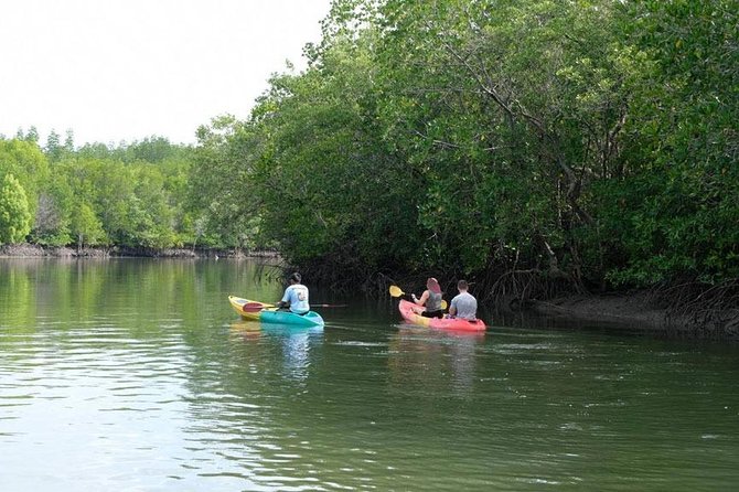 Half Day Mangrove Forest Kayaking Tour From Koh Lanta - Cancellation Policy Details