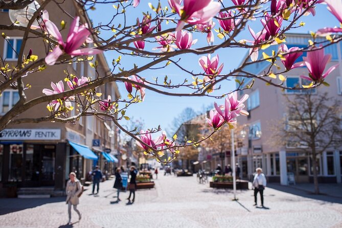 Half Day Mariehamn Private Guided Walking Tour - Whats Included