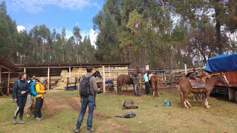 Half Day : Mountain Ride on Horseback - Experience Highlights