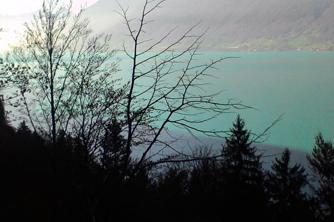 Half-Day Private Giessbach Falls and Lake Brienz From Interlaken - Itinerary Highlights and Stops