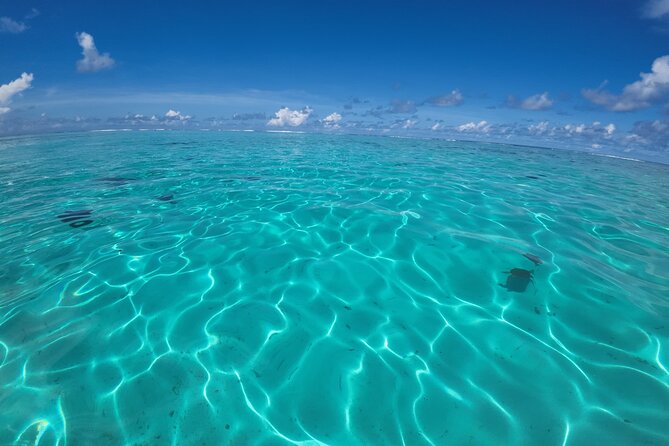 Half-Day Private Lagoon Tour by Boat in French Polynesia - Boat Amenities