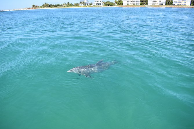 Half-Day Private Tiki Boat Beach Tour From Fort Myers - Guest Experiences