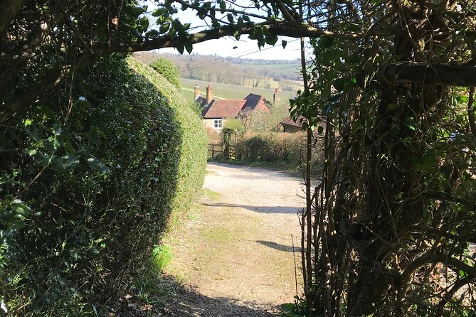 Half-Day Private Vineyard E-Bike Tour in Oxfordshire - Inclusions