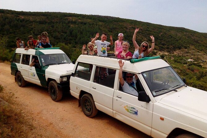 Half Day Safari Tour With Wine Tasting - Inclusions and Logistics