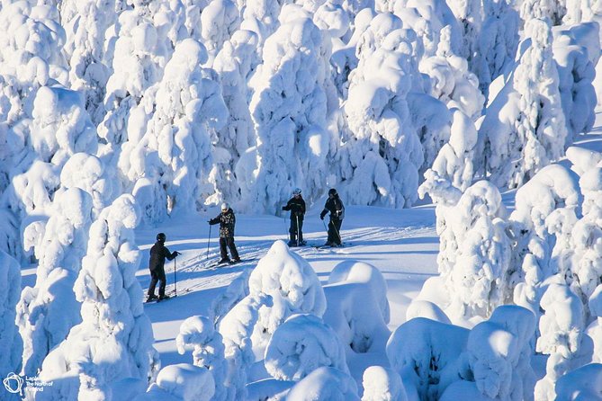 Half-Day Small-Group Cross-Country Skiing Lesson, Rovaniemi  - Saariselka - Expect Lapland Welcome