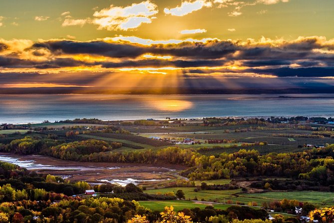 Half-Day Small-Group Tour of Annapolis Valley - Booking and Cancellation Policy