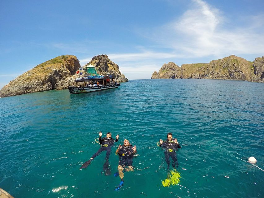 Half-Day Snorkeling Trip in Nha Trang With Vietnam Active - Experience Highlights