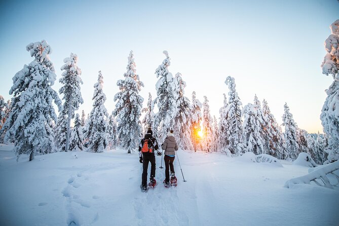 Half Day Snowshoe Hiking Adventure in Levi Lapland - Cancellation Policy and Refunds