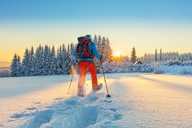 Half-Day Snowshoe Trip From Prague - Cancellation Policy