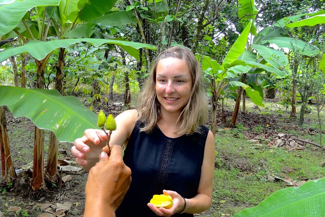 Half Day Tour Cacao Farm & Guayaquil City a Perfect Combination.. - Cacao Farm Experience