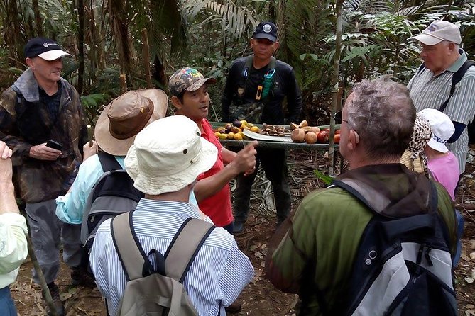 Half Day Tour- Jaguar Jungle Survival - Amazon Rainforest - From Manaus - Tour Options