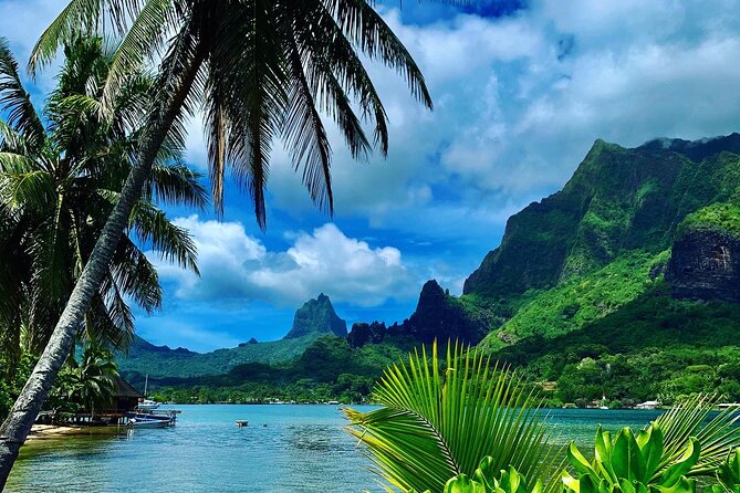 Half-Day Tour of Moorea Island in a Small Group - Customer Feedback