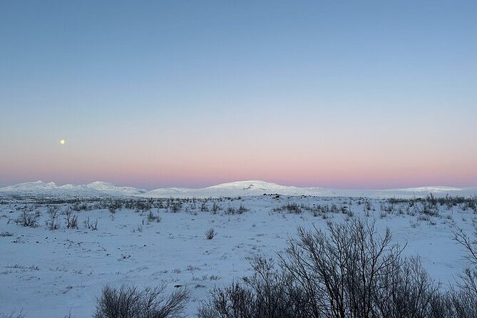 Half-Day Tour to Abisko From Kiruna: Morning Hike - Trail Difficulty Level