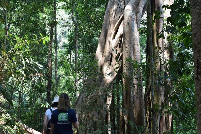 Half Day Trekking Doi Suthep - Pui National Park Area (Private Tour) - Important Details