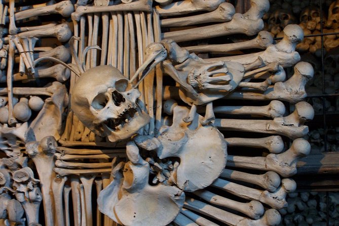 Half Day Trip to Kutna Hora and Bone Church From Prague - Customer Feedback - Guide Performance