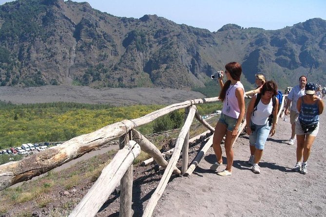 Half-Day Trip to Mt. Vesuvius From Naples - Additional Info