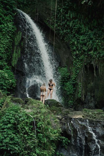 Half-Day Ubud Waterfall Tours - Experience and Tour Highlights