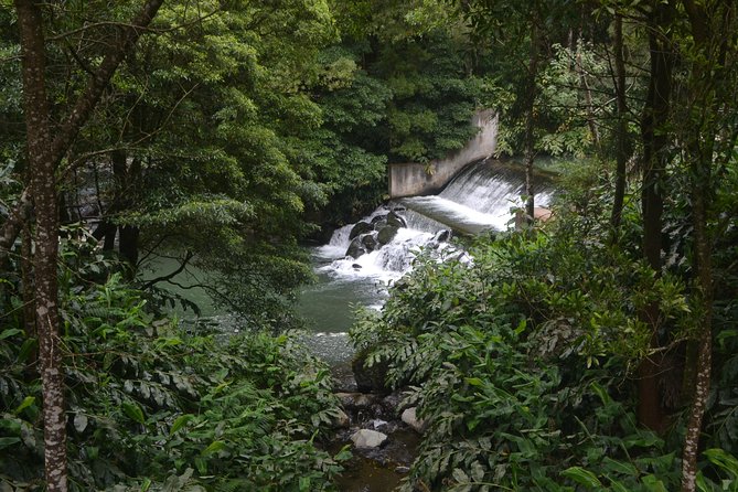 Half Day Walking Tour Salto Do Cabrito and Hot Springs - Volcanic Landscapes Exploration