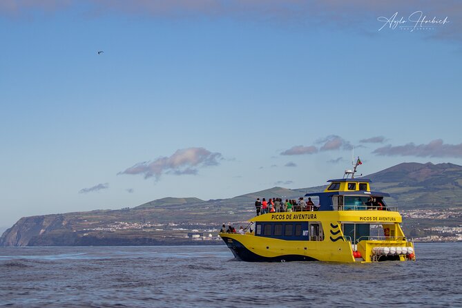 Half-Day Whale and Dolphin Watching Tour in Ponta Delgada - Booking Details