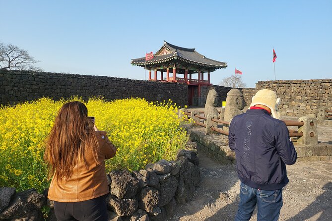 Half or Day Tour for Cruise Customers Arriving at Gangjeong Port - Pickup Logistics and Convenience