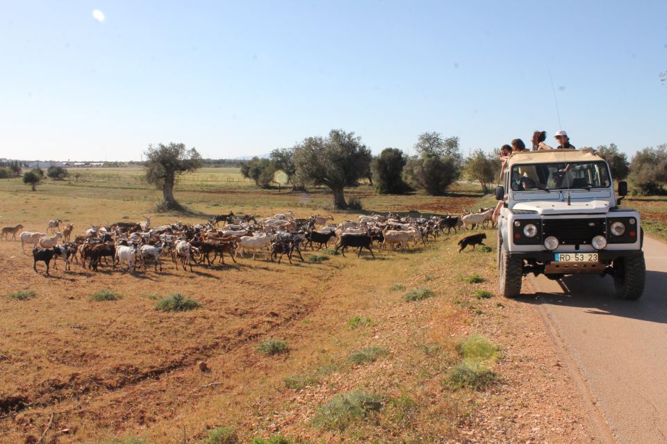 Halfday - Algarve Jeep Safaris Tours - Review Summary