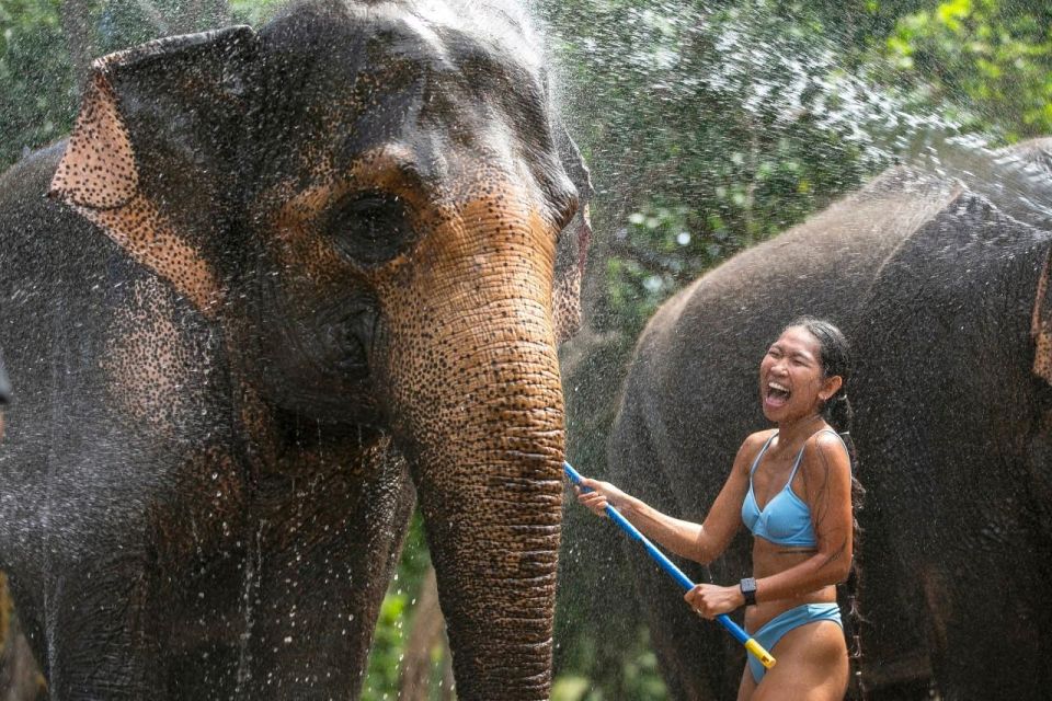 Halfday Program With Elephant on the Beach (3.30hours) - Experience Highlights