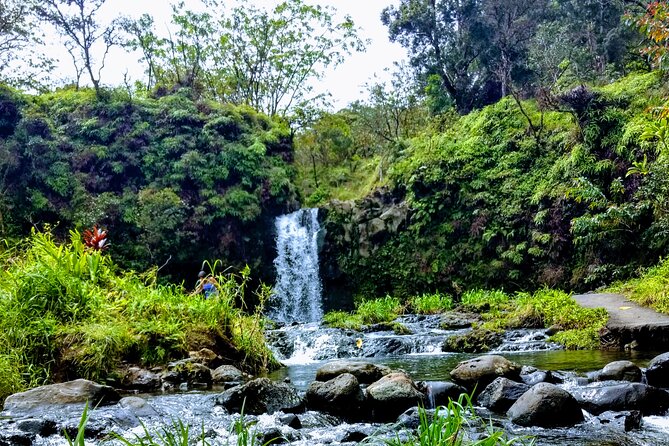 Halfway to Hana Tour of Maui Black Sand Beach Waterfalls Turtles - Schedule and Availability