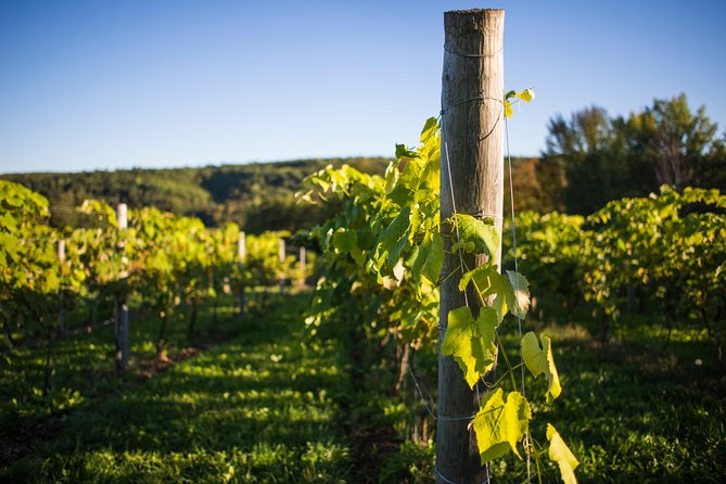 Halifax Small-Group Vineyard Tour With Lunch - Itinerary