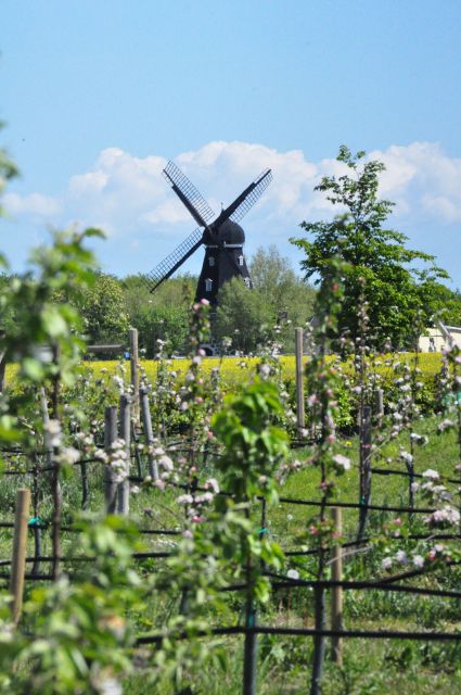 Hällåkra: Cycling or Hiking With Wine Tasting - Experience Highlights